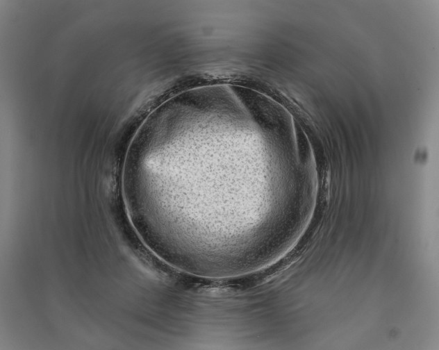 X0000090950408200708161800