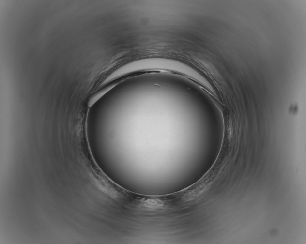 X0000090950409200708161800