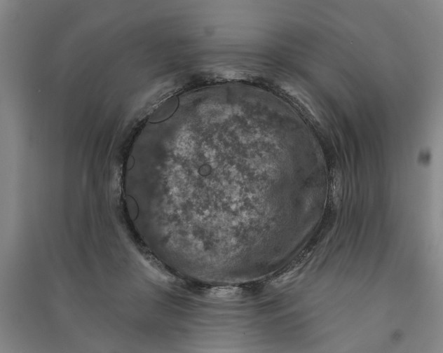 X0000090950410200708161800