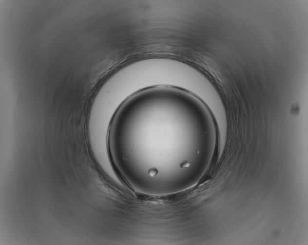 X0000090950411200708161800
