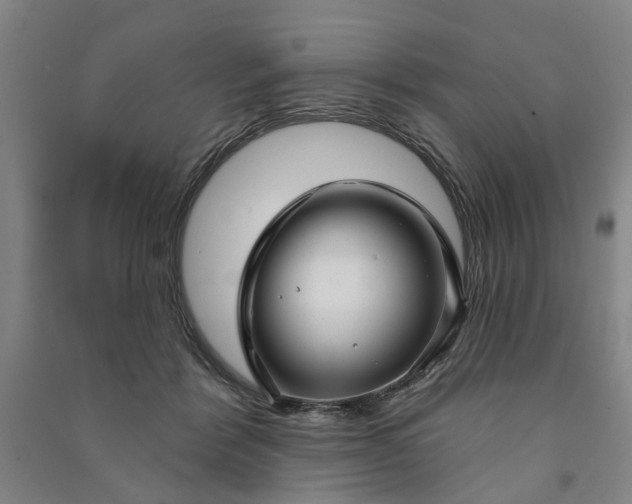 X0000090950412200708161800