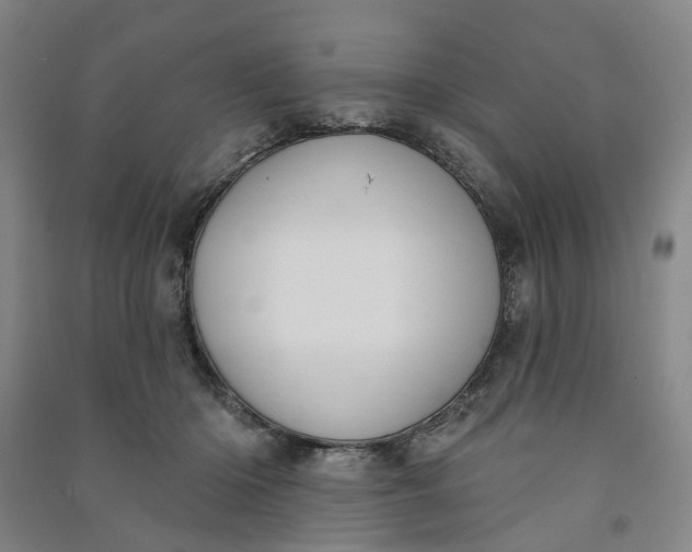 X0000090950414200708161800