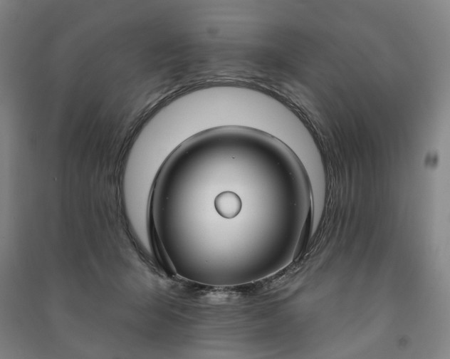 X0000090950415200708161800