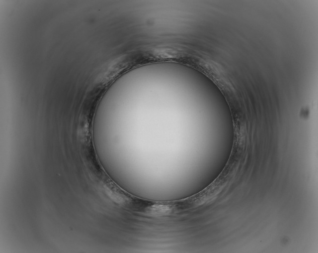 X0000090950418200708161800