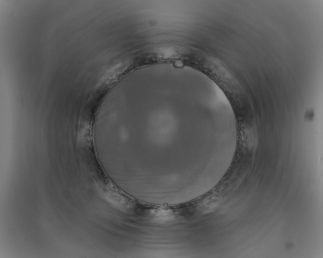 X0000090950419200708161800