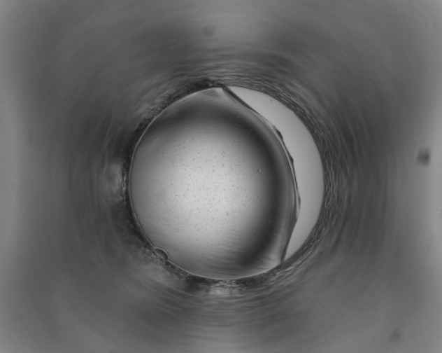 X0000090950420200708161800