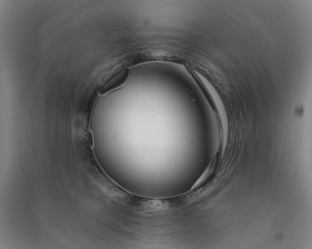 X0000090950421200708161800