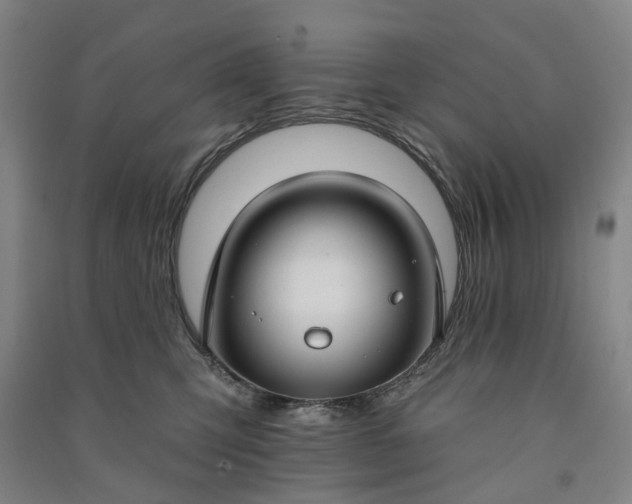 X0000090950423200708161759