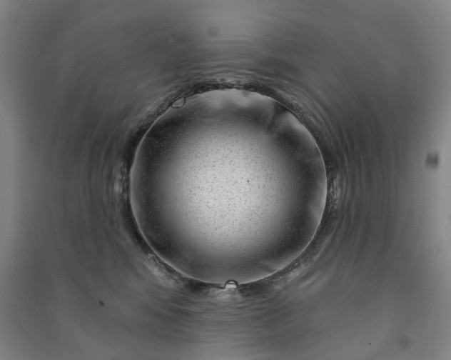 X0000090950424200708161759