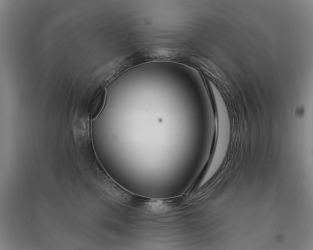 X0000090950425200708161759