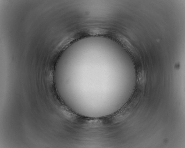 X0000090950426200708161759