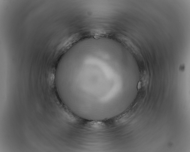 X0000090950427200708161759