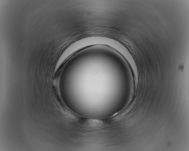 X0000090950429200708161759