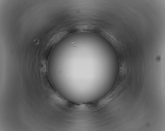 X0000090950430200708161759