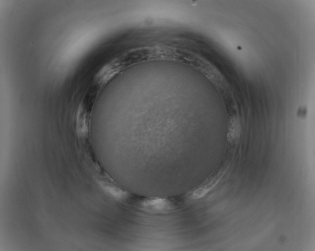 X0000090950431200708161759