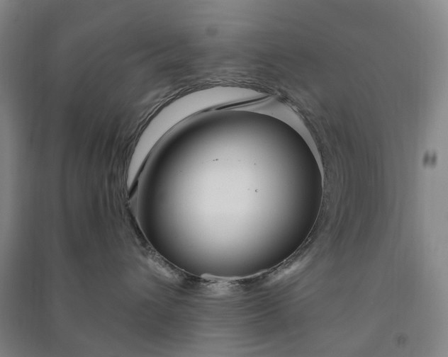 X0000090950432200708161759