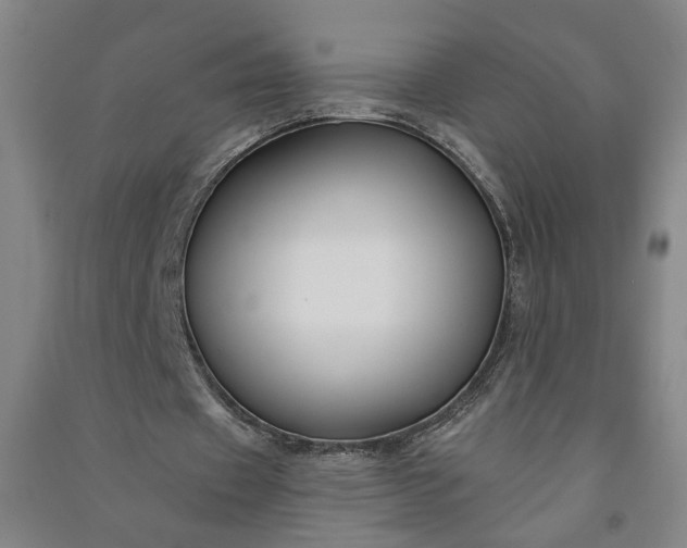 X0000090950433200708161759