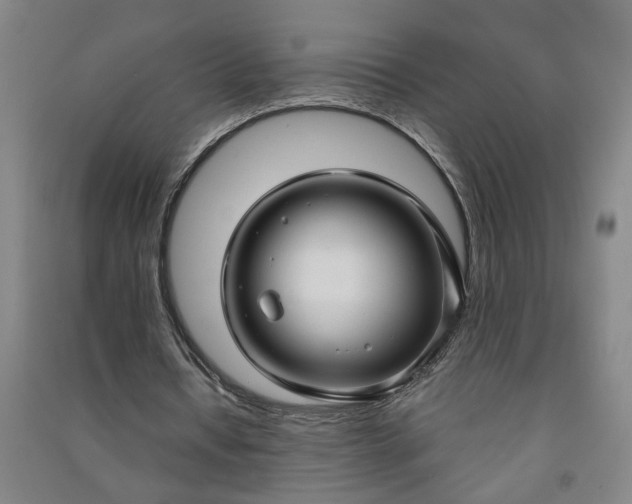 X0000090950434200708161759