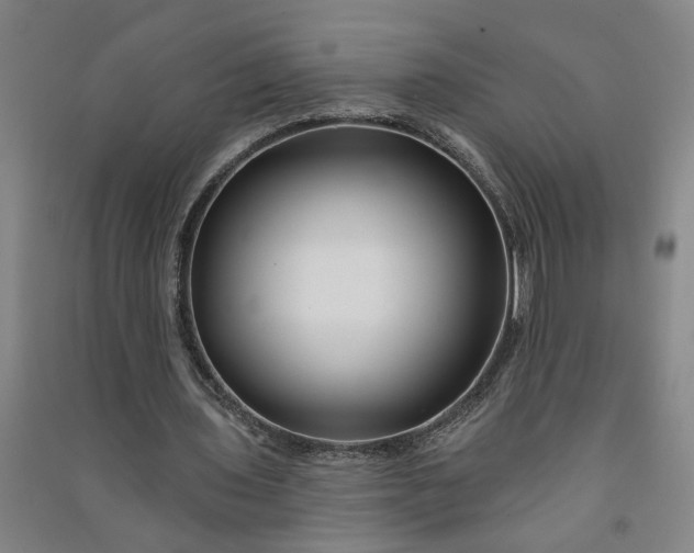 X0000090950435200708161759