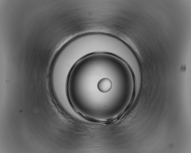 X0000090950436200708161759