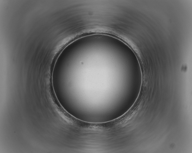 X0000090950437200708161759