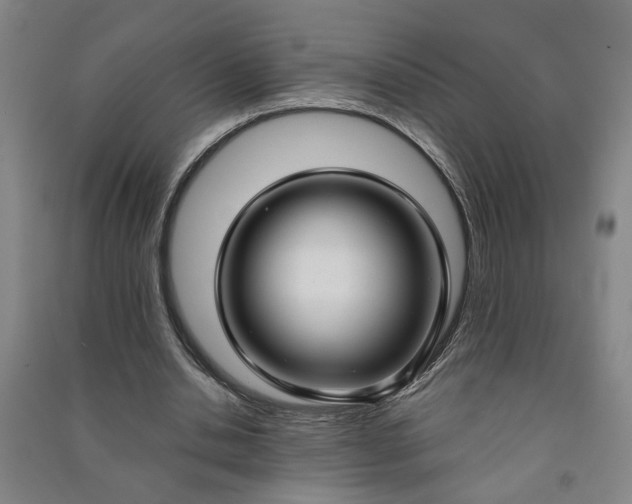 X0000090950438200708161759