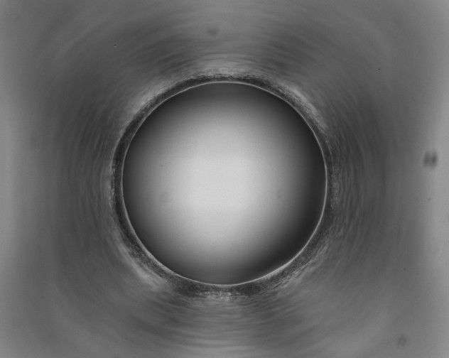X0000090950439200708161759