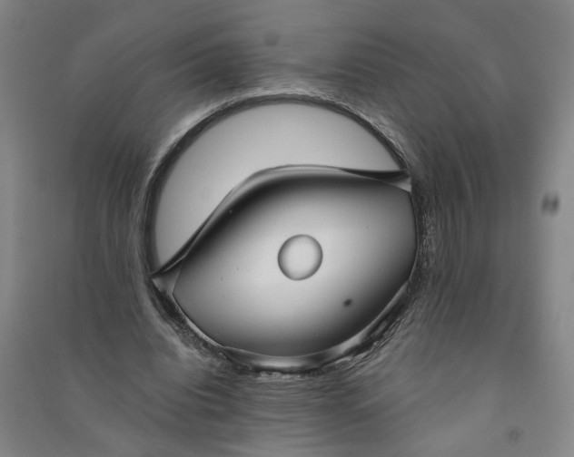 X0000090950440200708161759