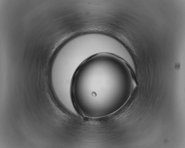 X0000090950444200708161759