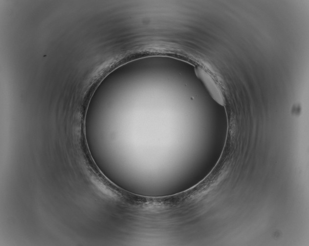 X0000090950445200708161759