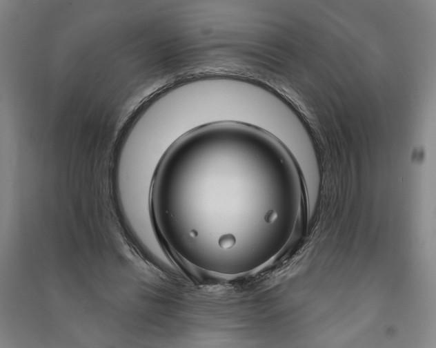 X0000090950446200708161759