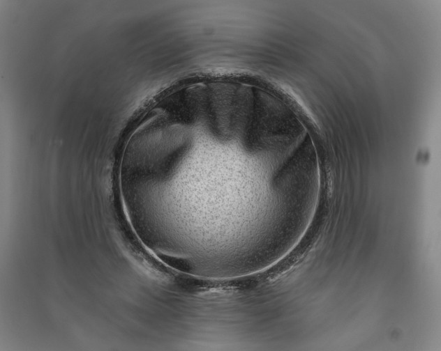 X0000090950447200708161759