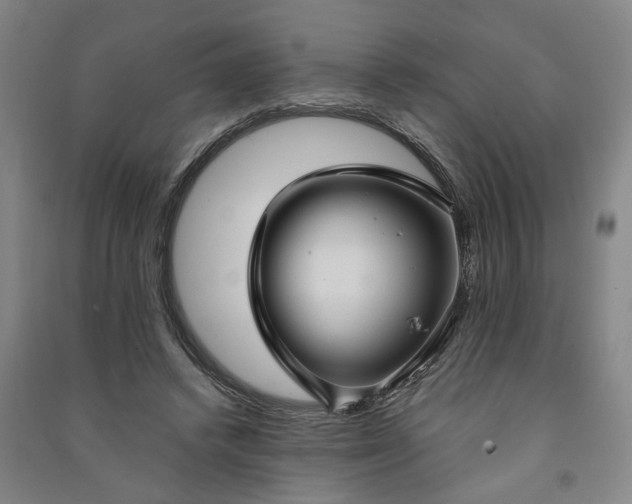 X0000090950448200708161759