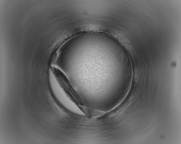 X0000090950449200708161759