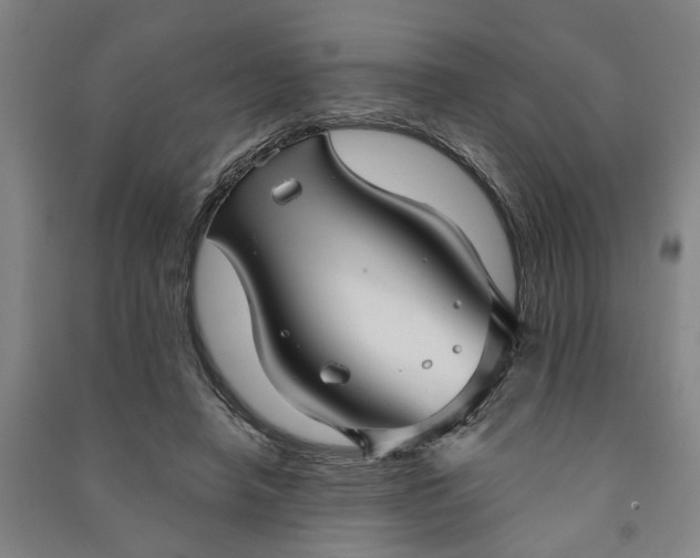X0000090950450200708161759