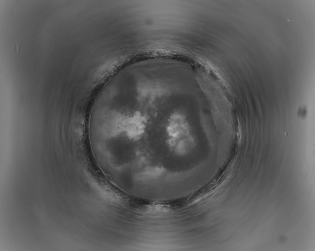 X0000090950451200708161759