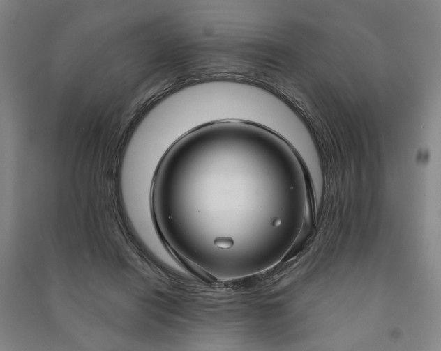 X0000090950454200708161759