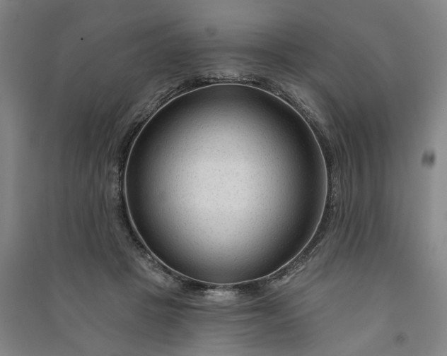 X0000090950457200708161759