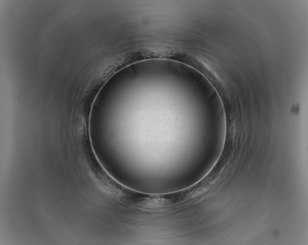 X0000090950459200708161759