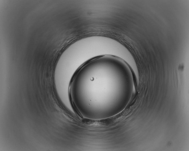 X0000090950460200708161759