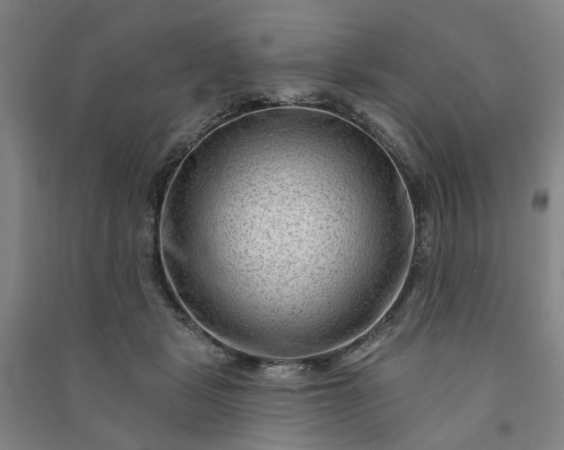 X0000090950461200708161759