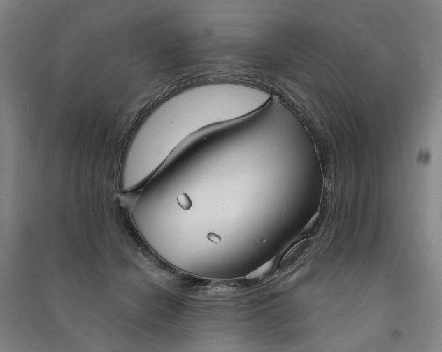 X0000090950462200708161759