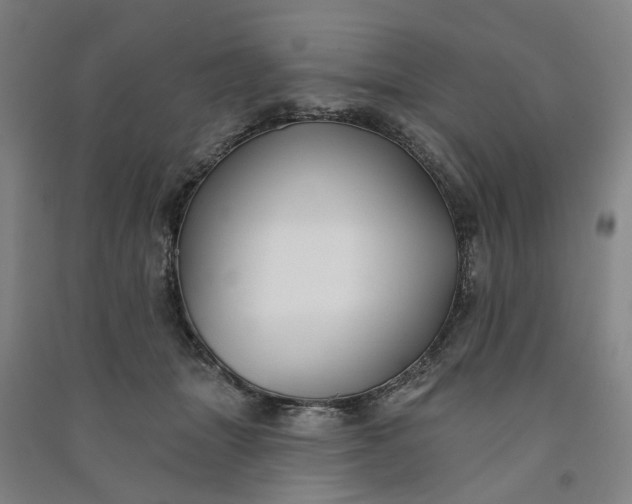 X0000090950463200708161759