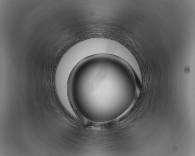 X0000090950464200708161759