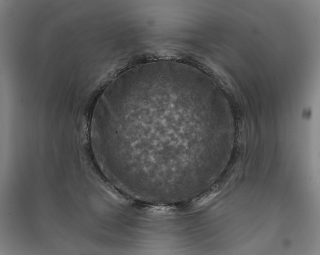 X0000090950465200708161759