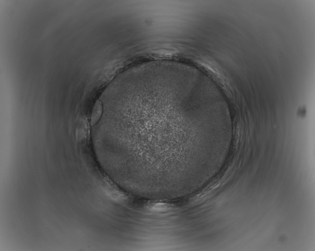 X0000090950467200708161759