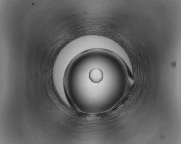 X0000090950468200708161759