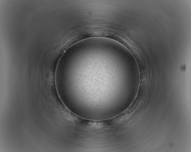 X0000090950469200708161759