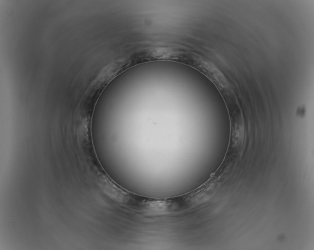 X0000090950473200708161759