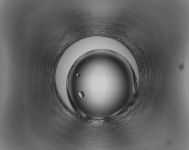 X0000090950474200708161759